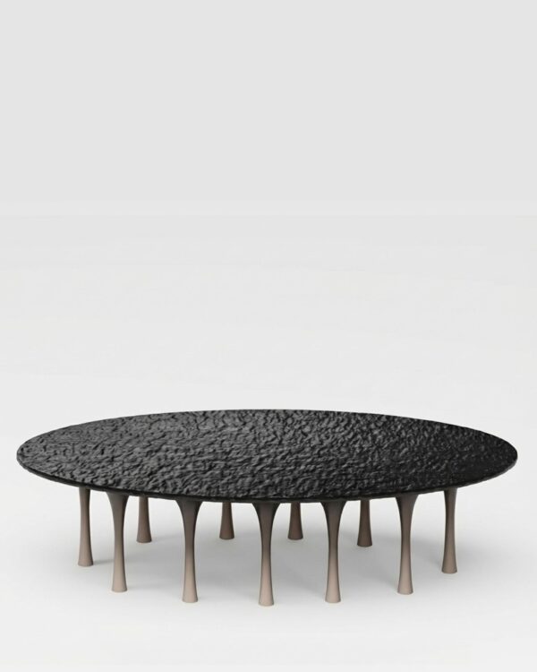 Nasseim Coffee Table